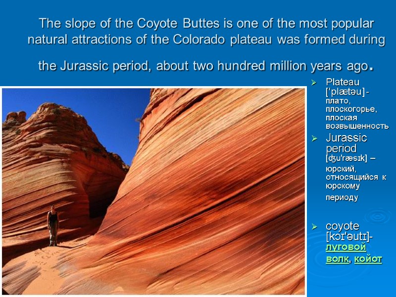 The slope of the Coyote Buttes is one of the most popular natural attractions